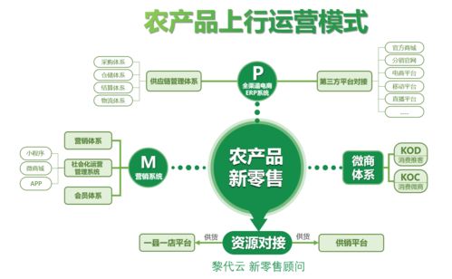 黎代云 内循环大背景下,农产品上行怎么做 联商专栏